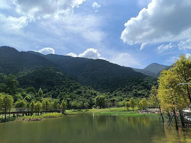 高校教师闪耀舞台，荣获模特冠军